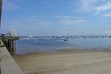 Cape Cod 2008 16